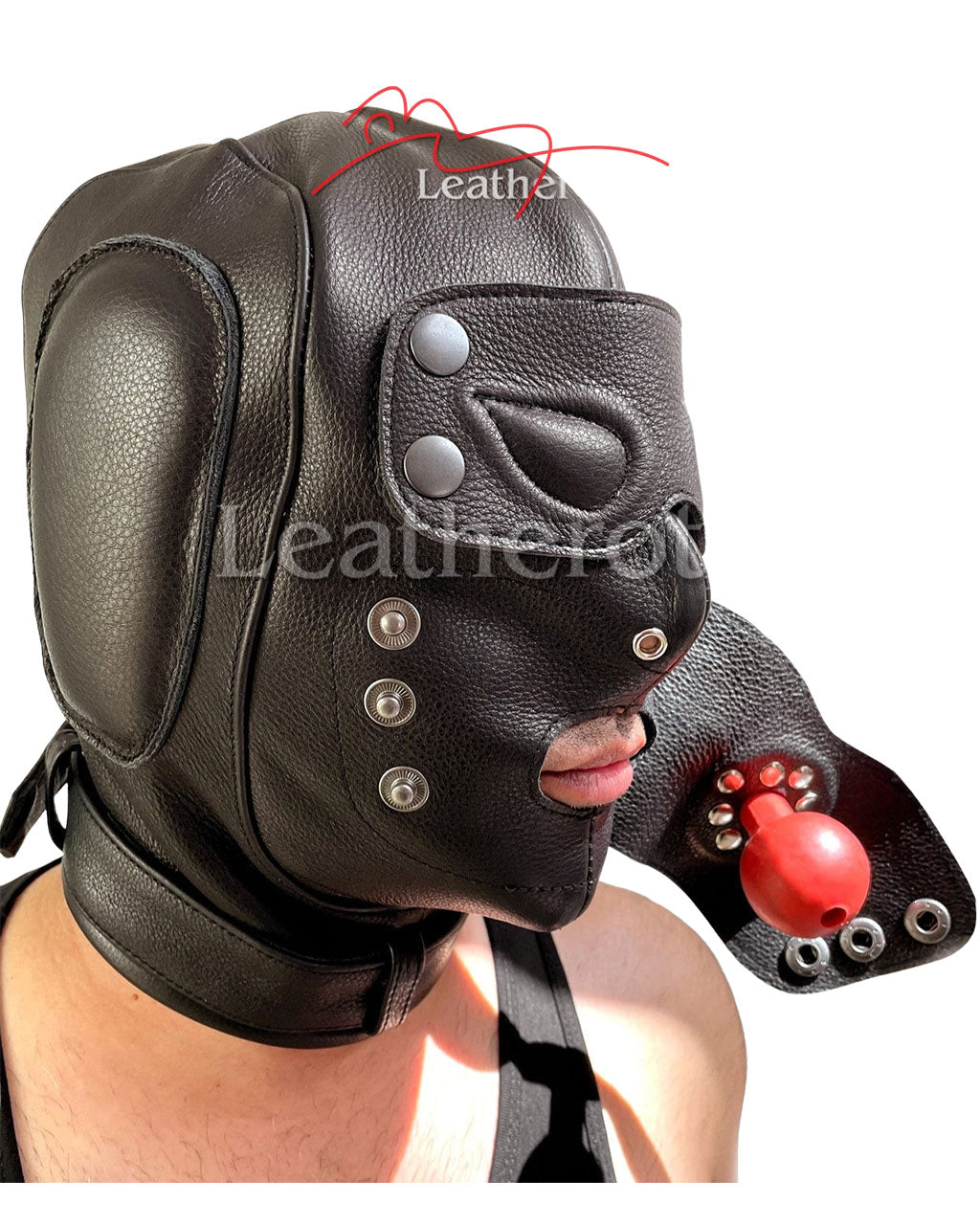 Leather Hood with Gag