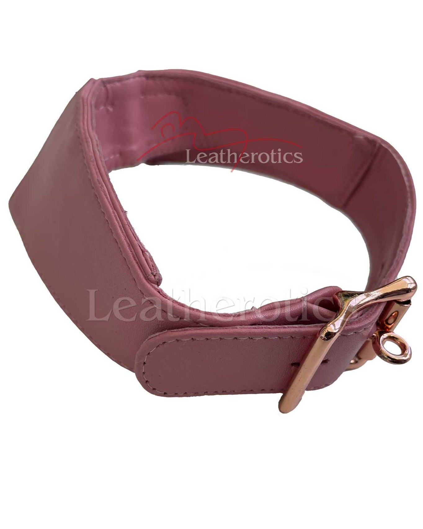 Leather Slave Collar with Buckle