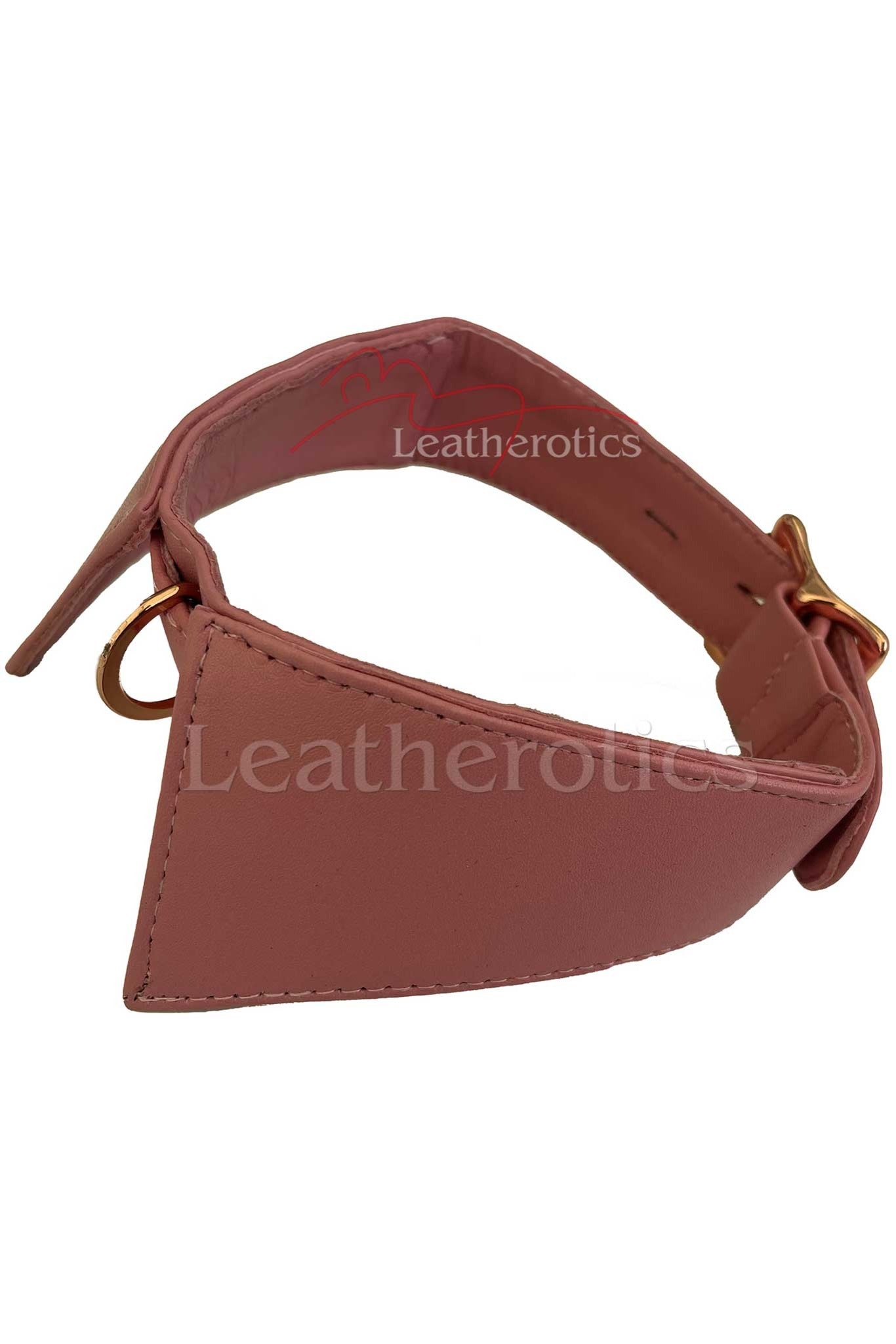 Leather Slave Collar with Buckle