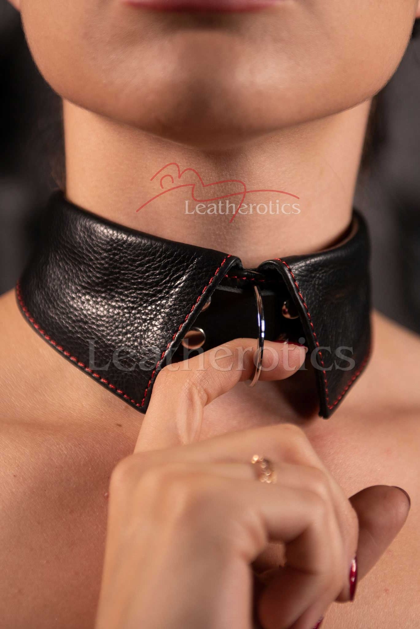 Black Leather Choker Collar