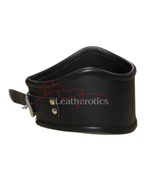 Black Leather Posture Collar